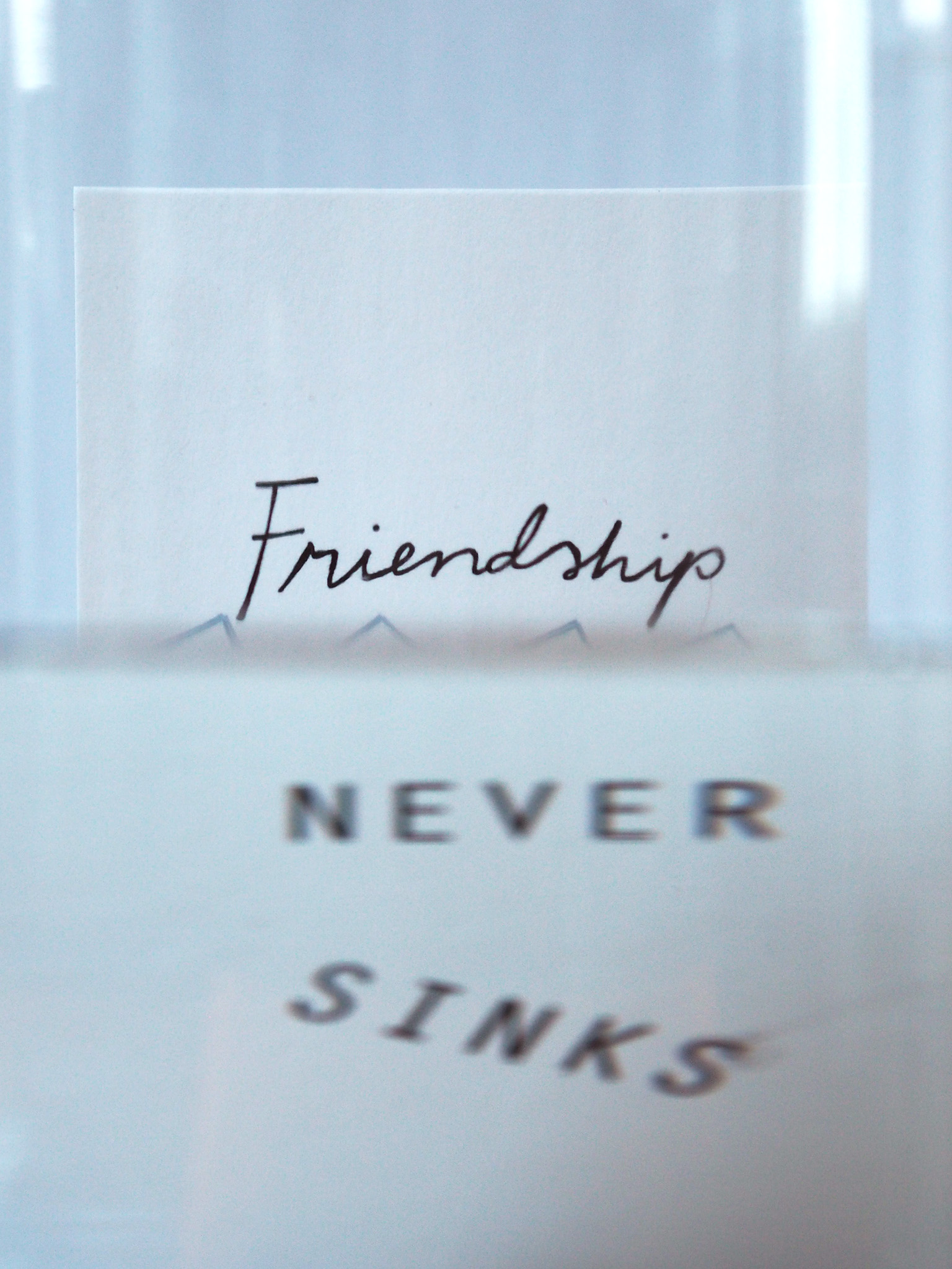 Friendship never sinks